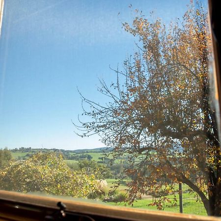 Vivere Retreat Neerim South Dış mekan fotoğraf