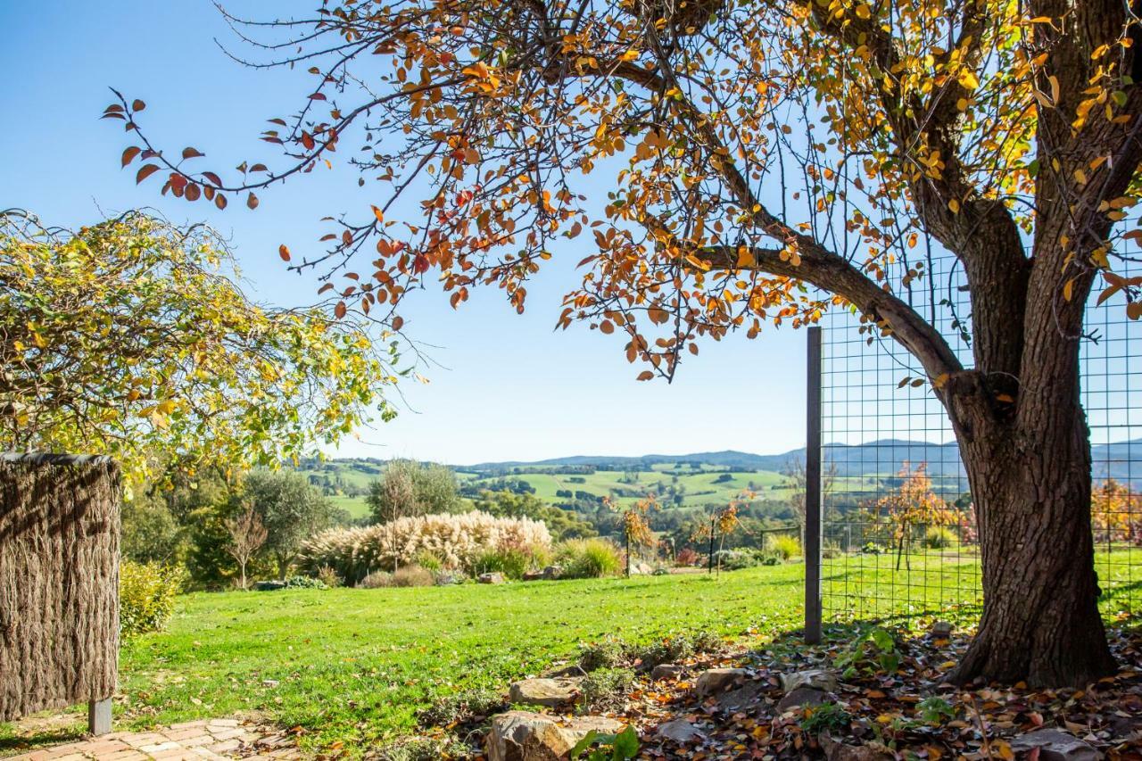Vivere Retreat Neerim South Dış mekan fotoğraf